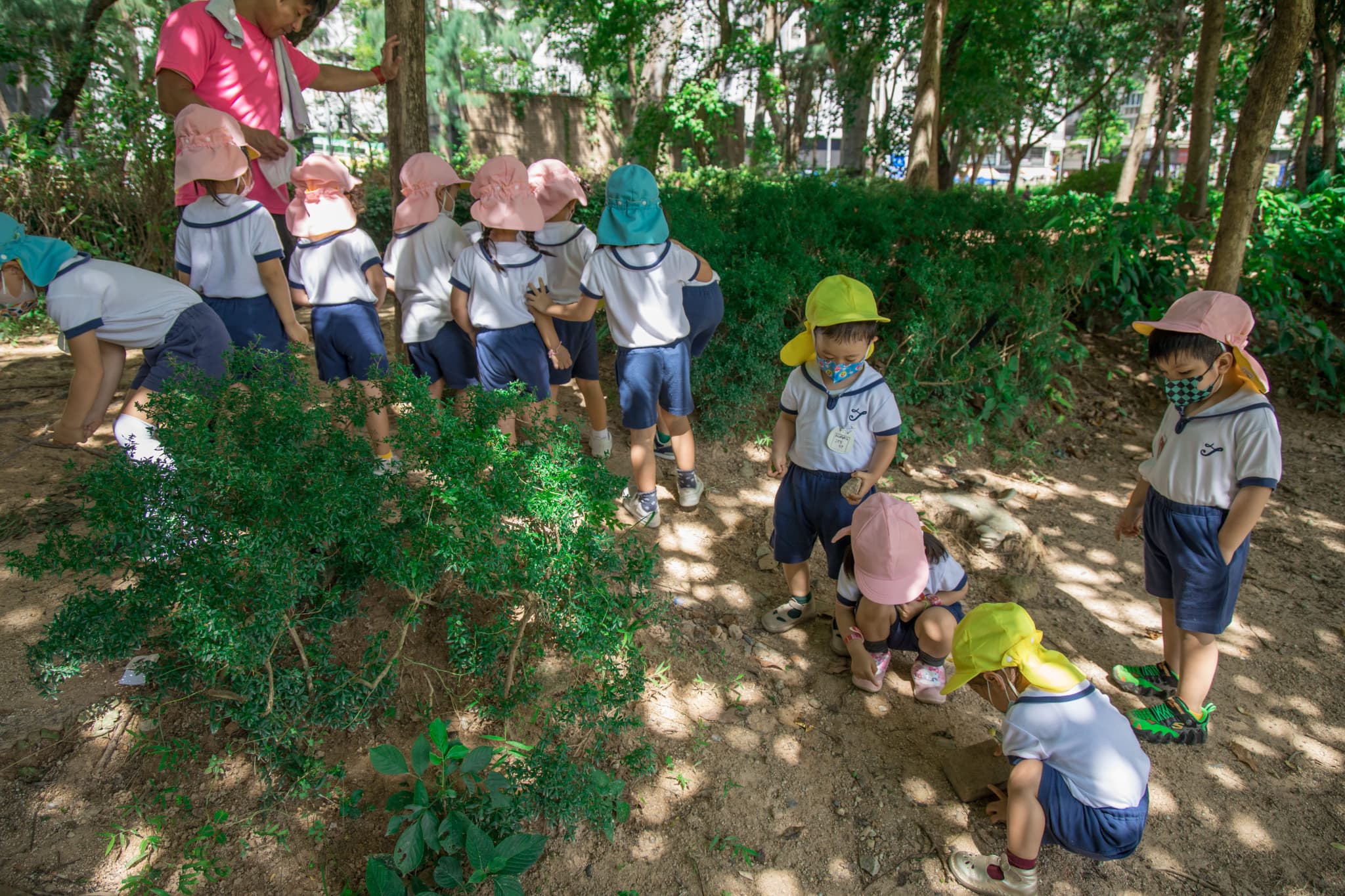 �c�t���Љ�