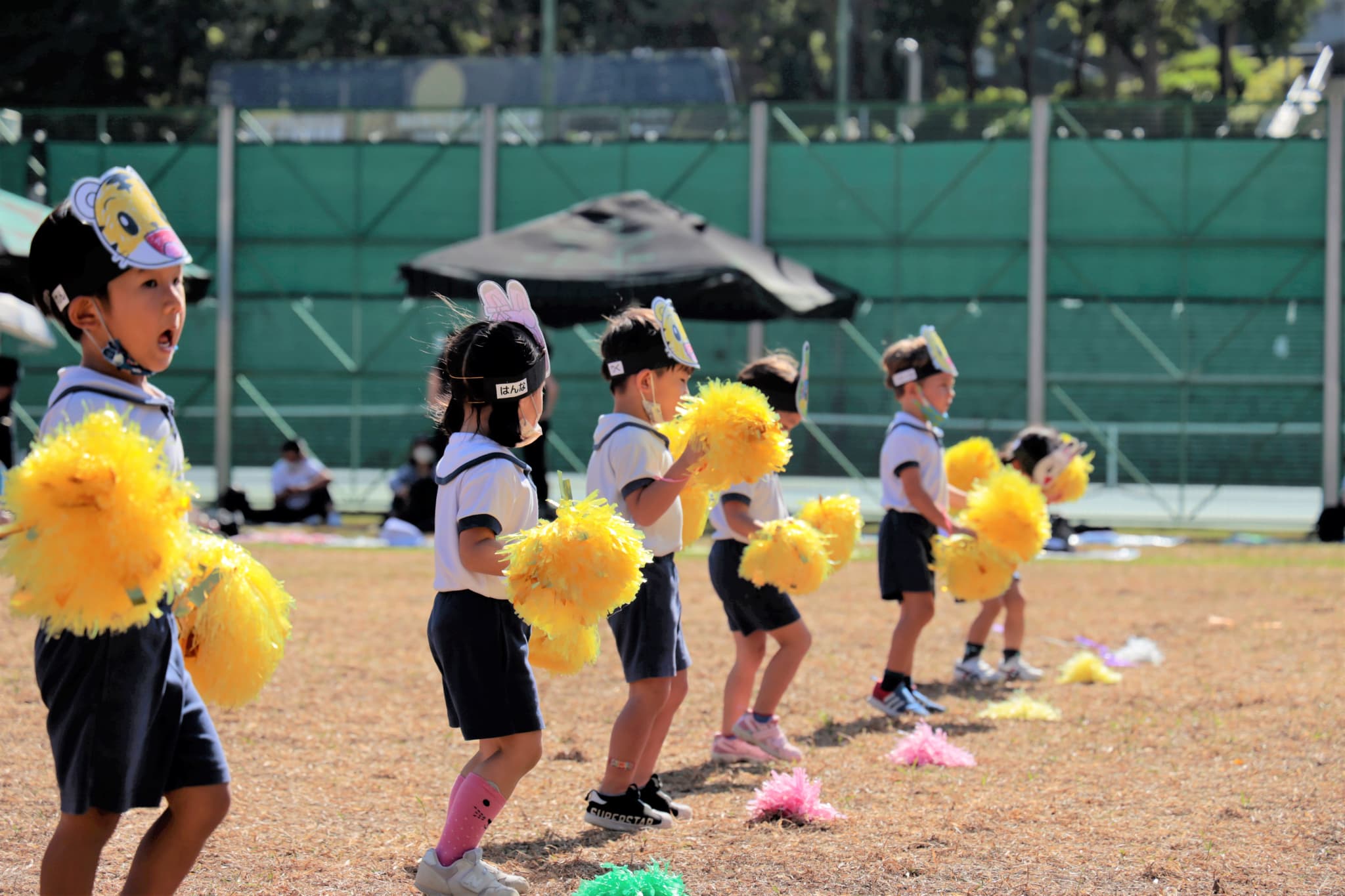 �c�t���Љ�